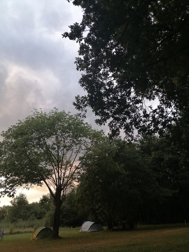 Deux petites tentes de randonnée plantées dans l'herbe d'une aire naturelle de camping, sous de grands arbres