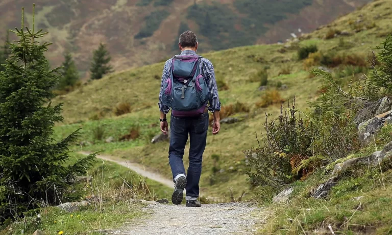 Randonneur de dos, petit sac à dos sur les épaules, sur un sentier de montagne entre herbe et fougères
